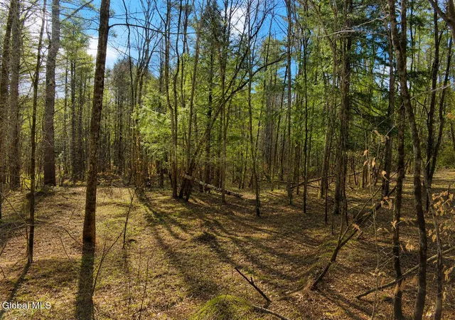 Photo 4 of Land for sale at L93 Highview Ln #9, Johnsburg, NY 12886 | MLS# 202513043 | Listing updated on 2026-08-25