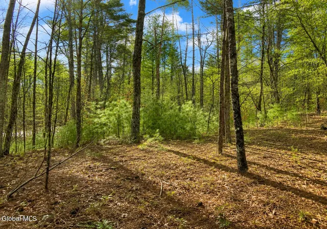 Photo 1 of Land for sale at L94 Highview Ln #Lot 10, Johnsburg, NY 12886 | MLS# 202513044 | Listing updated on 2026-08-26