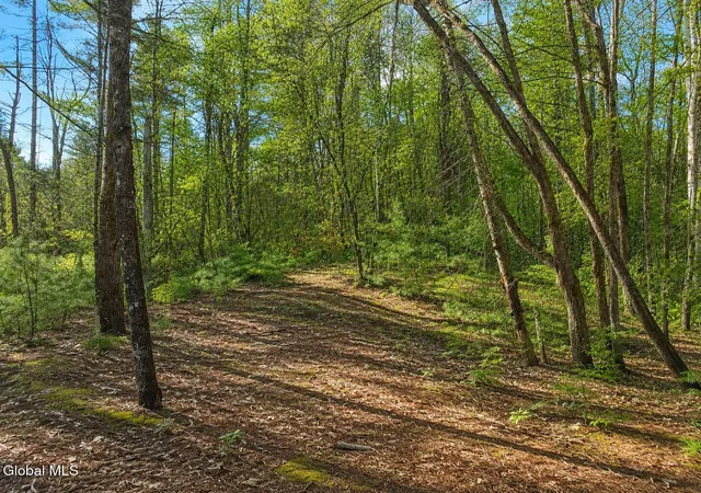 Photo 2 of Land for sale at L94 Highview Ln #Lot 10, Johnsburg, NY 12886 | MLS# 202513044 | Listing updated on 2026-08-26