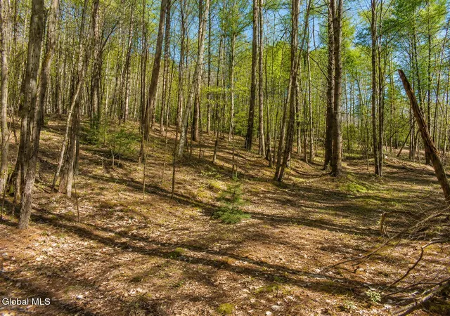 Photo 3 of Land for sale at L94 Highview Ln #Lot 10, Johnsburg, NY 12886 | MLS# 202513044 | Listing updated on 2026-08-26