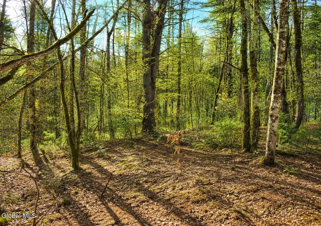 Photo 3 of Land for sale at L94 Highview Ln #Lot 10, Johnsburg, NY 12886 | MLS# 202513044 | Listing updated on 2026-08-26