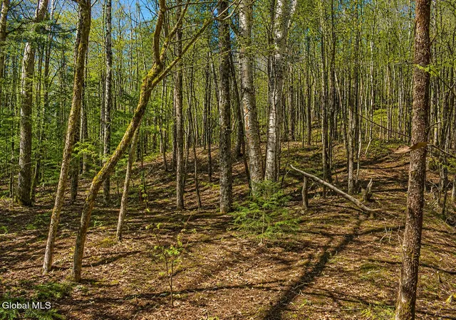 Photo 4 of Land for sale at L94 Highview Ln #Lot 10, Johnsburg, NY 12886 | MLS# 202513044 | Listing updated on 2026-08-26