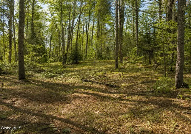 1st image of L95 Highview Ln #Lot 11, Johnsburg, NY 12886 | MLS# 202513045