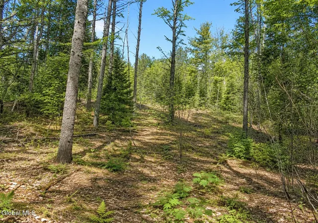 2nd image of L95 Highview Ln #Lot 11, Johnsburg, NY 12886 | MLS# 202513045