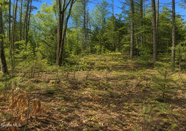 Photo 3 of Land for sale at L95 Highview Ln #Lot 11, Johnsburg, NY 12886 | MLS# 202513045 | Listing updated on 2026-08-27
