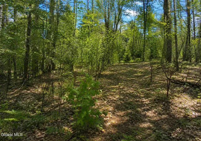 Photo 3 of Land for sale at L95 Highview Ln #Lot 11, Johnsburg, NY 12886 | MLS# 202513045 | Listing updated on 2026-08-27
