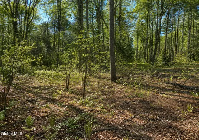 Photo 4 of Land for sale at L95 Highview Ln #Lot 11, Johnsburg, NY 12886 | MLS# 202513045 | Listing updated on 2026-08-27