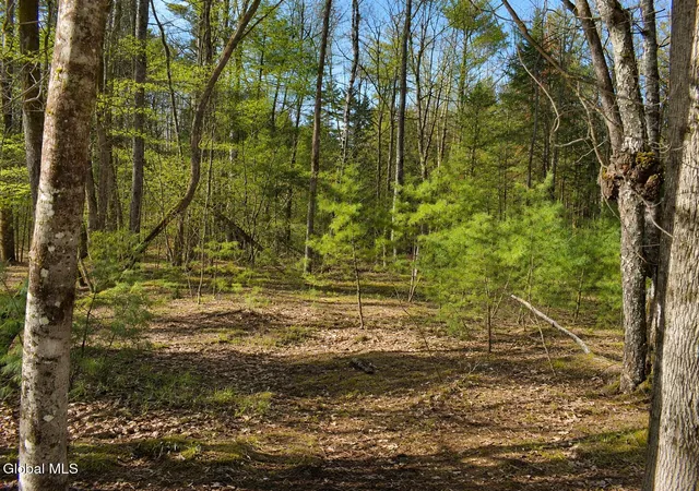 Photo 1 of Land for sale at L96 Highview Ln #Lot 12, Johnsburg, NY 12886 | MLS# 202513046 | Listing updated on 2026-09-01