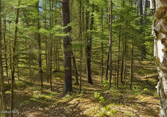 Photo 2 of Land for sale at L96 Highview Ln #Lot 12, Johnsburg, NY 12886 | MLS# 202513046 | Listing updated on 2026-09-01