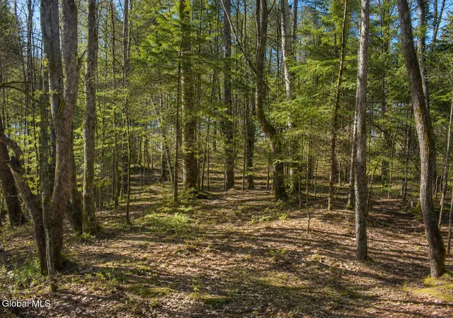 Photo 3 of Land for sale at L96 Highview Ln #Lot 12, Johnsburg, NY 12886 | MLS# 202513046 | Listing updated on 2026-09-01