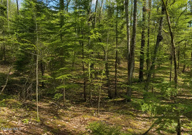 Photo 3 of Land for sale at L96 Highview Ln #Lot 12, Johnsburg, NY 12886 | MLS# 202513046 | Listing updated on 2026-09-01