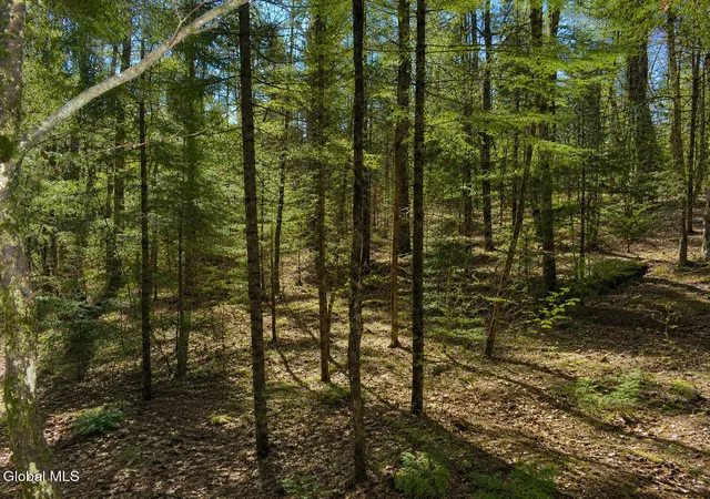 Photo 4 of Land for sale at L96 Highview Ln #Lot 12, Johnsburg, NY 12886 | MLS# 202513046 | Listing updated on 2026-09-01