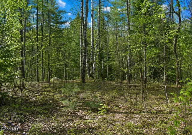1st image of L97 Highview Ln #Lot 13, Johnsburg, NY 12886 | MLS# 202513047