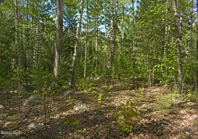 2nd image of L97 Highview Ln #Lot 13, Johnsburg, NY 12886 | MLS# 202513047