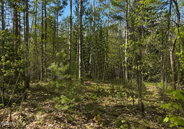 Photo 3 of Land for sale at L97 Highview Ln #Lot 13, Johnsburg, NY 12886 | MLS# 202513047 | Listing updated on 2026-07-29