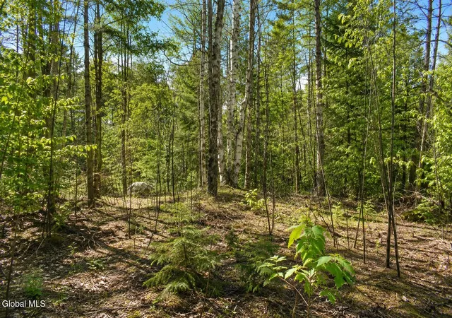 Photo 3 of Land for sale at L97 Highview Ln #Lot 13, Johnsburg, NY 12886 | MLS# 202513047 | Listing updated on 2026-07-29