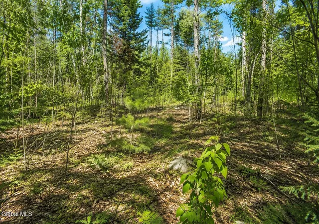 Photo 4 of Land for sale at L97 Highview Ln #Lot 13, Johnsburg, NY 12886 | MLS# 202513047 | Listing updated on 2026-07-29