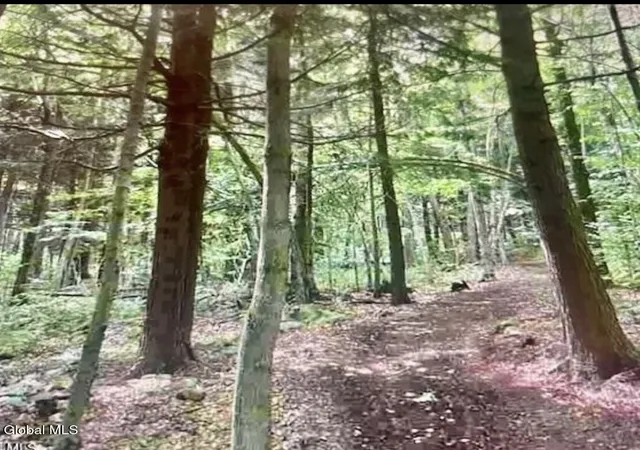 Photo 3 of Land for sale at 95 Pond View Rd, Petersburg, NY 12138 | MLS# 202514628 | Listing updated on 2026-07-31