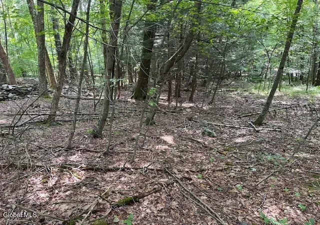 Photo 27 of Land for sale at 51 Circle Dr, New Baltimore, NY 12192 | MLS# 202531193 | Listing updated on 2026-08-05