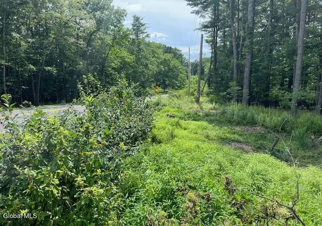 Photo 2 of Land for sale at 51 Circle Dr, New Baltimore, NY 12192 | MLS# 202531193 | Listing updated on 2026-08-05