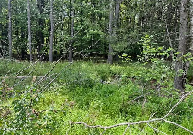 Photo 3 of Land for sale at 51 Circle Dr, New Baltimore, NY 12192 | MLS# 202531193 | Listing updated on 2026-08-05
