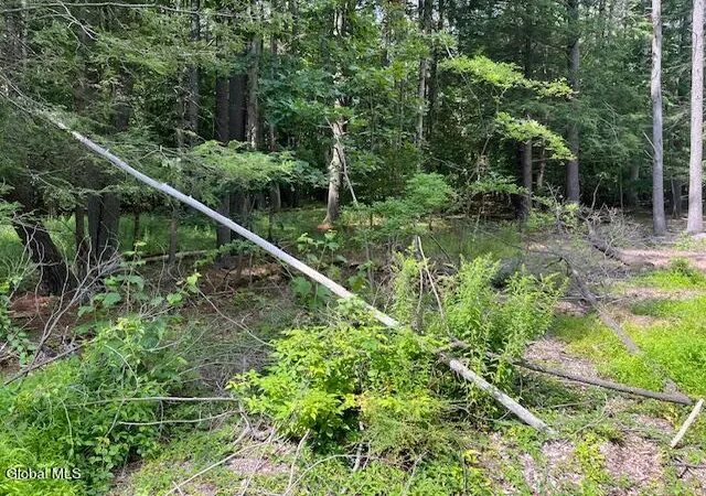Photo 4 of Land for sale at 51 Circle Dr, New Baltimore, NY 12192 | MLS# 202531193 | Listing updated on 2026-08-05