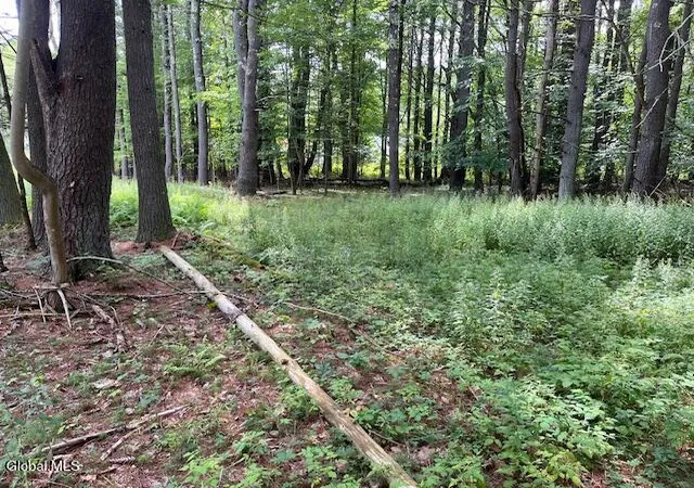 Photo 5 of Land for sale at 51 Circle Dr, New Baltimore, NY 12192 | MLS# 202531193 | Listing updated on 2026-08-05