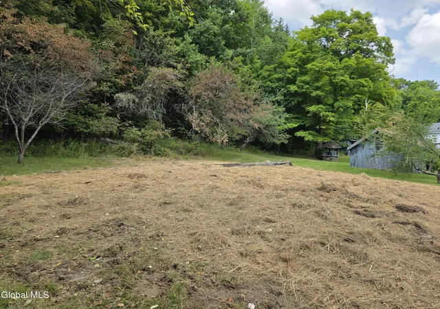 Photo 46 of Sale Pending at 319 Tower Rd, Warnerville, NY 12187 | MLS# 202615967 | Listing updated on 2026-08-19