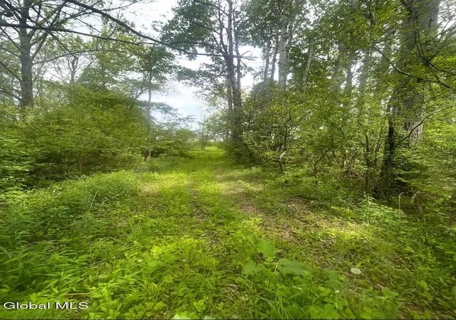 51st image of 3973 Us 20 Us Hwy 20 #3973 us 20, Richfield Springs, NY 13439 | MLS# 202617801