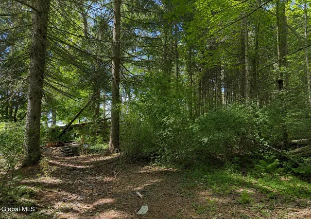 Photo 18 of Land for sale at 6067 State Route 81, Greenville, NY 12083 | MLS# 202618235 | Listing updated on 2026-08-27