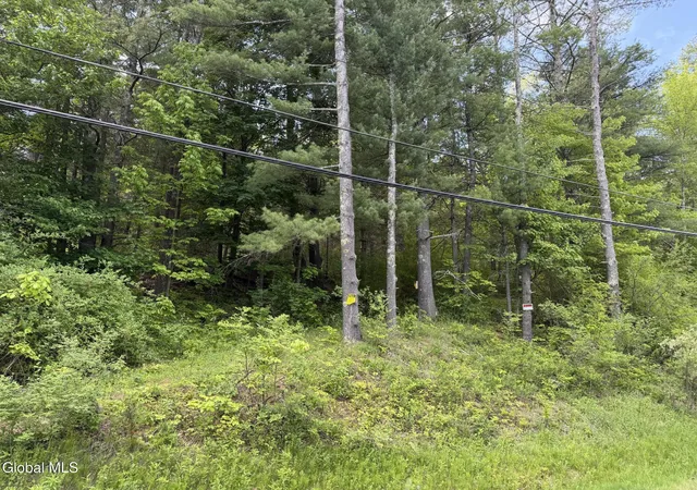 Photo 2 of Land for sale at 6067 State Route 81, Greenville, NY 12083 | MLS# 202618235 | Listing updated on 2026-08-27