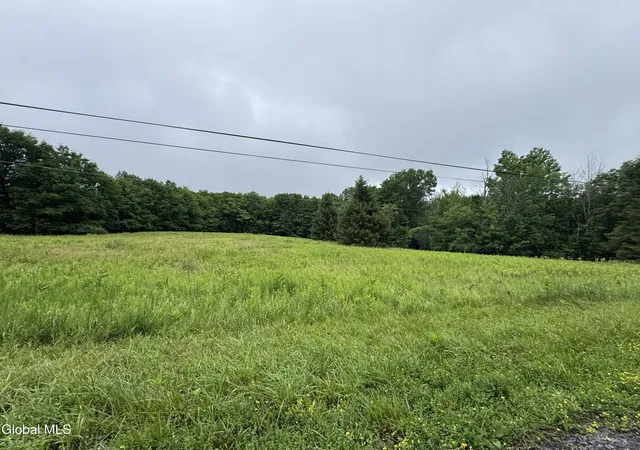 Photo 1 of Land for sale at 0 Cook Rd, Conesville, NY 12076 | MLS# 202622125 | Listing updated on 2026-07-18