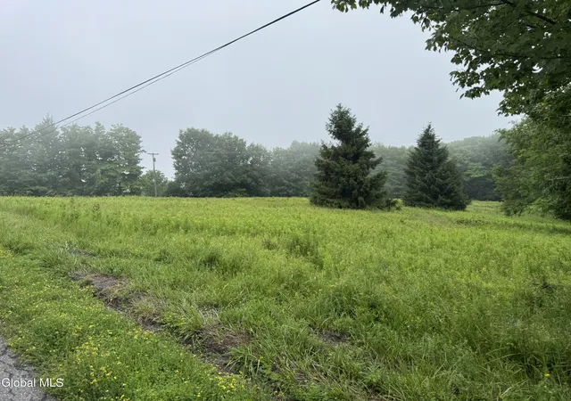 Photo 3 of Land for sale at 0 Cook Rd, Conesville, NY 12076 | MLS# 202622125 | Listing updated on 2026-07-18