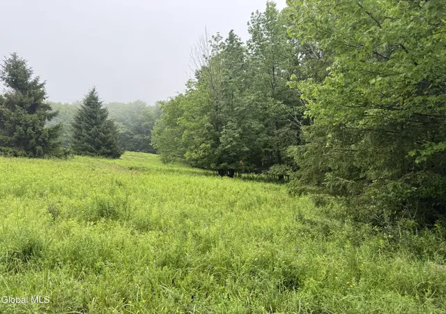 Photo 3 of Land for sale at 0 Cook Rd, Conesville, NY 12076 | MLS# 202622125 | Listing updated on 2026-07-18