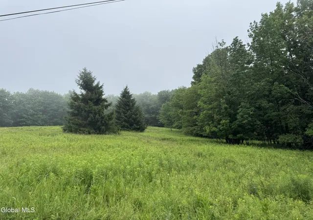 Photo 4 of Land for sale at 0 Cook Rd, Conesville, NY 12076 | MLS# 202622125 | Listing updated on 2026-07-18