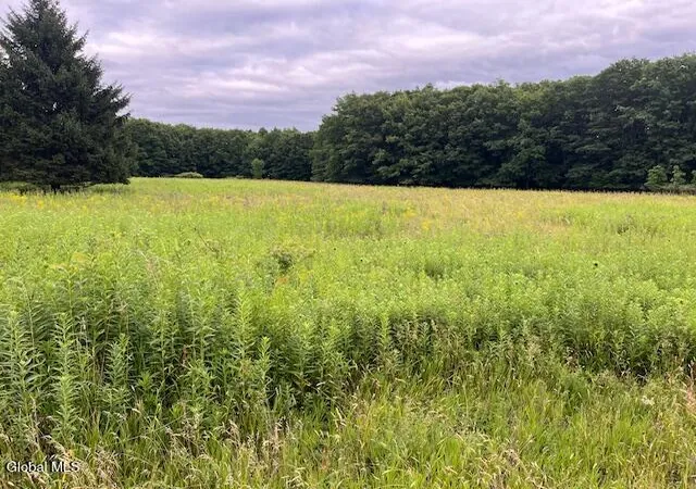 1st image of 184 Beechwood Rd, Sharon Springs, NY 13459 | MLS# 202621279