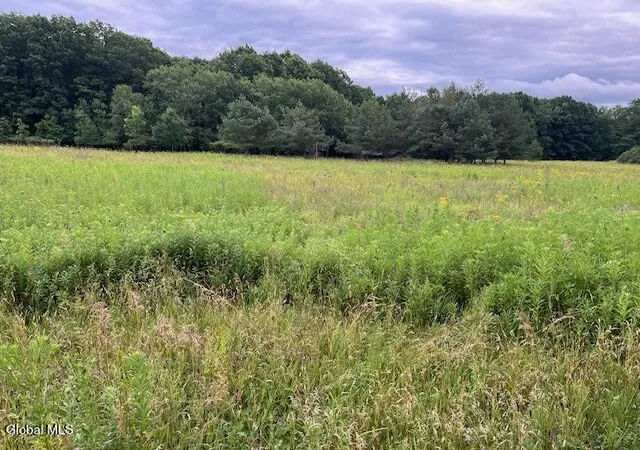 2nd image of 184 Beechwood Rd, Sharon Springs, NY 13459 | MLS# 202621279