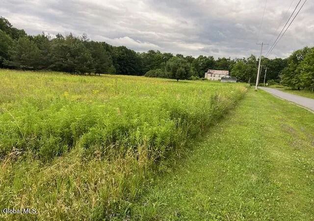 Photo 3 of Land for sale at 184 Beechwood Rd, Sharon Springs, NY 13459 | MLS# 202621279 | Listing updated on 2026-07-23