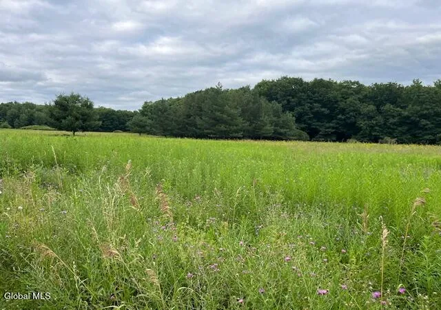 Photo 4 of Land for sale at 184 Beechwood Rd, Sharon Springs, NY 13459 | MLS# 202621279 | Listing updated on 2026-07-23