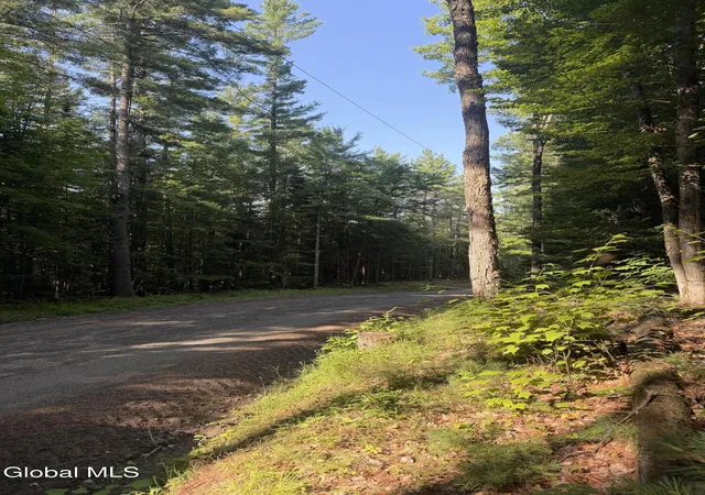 2nd image of L4 Jim Younes Rd, Brant Lake, NY 12815 | MLS# 202621925