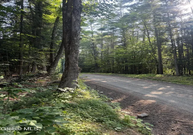 6th image of L4 Jim Younes Rd, Brant Lake, NY 12815 | MLS# 202621925