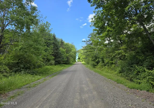 Photo 48 of Sale Pending at 419 Halbert Hl Rd, South New Berlin, NY 13843 | MLS# 202621980 | Listing updated on 2026-09-03