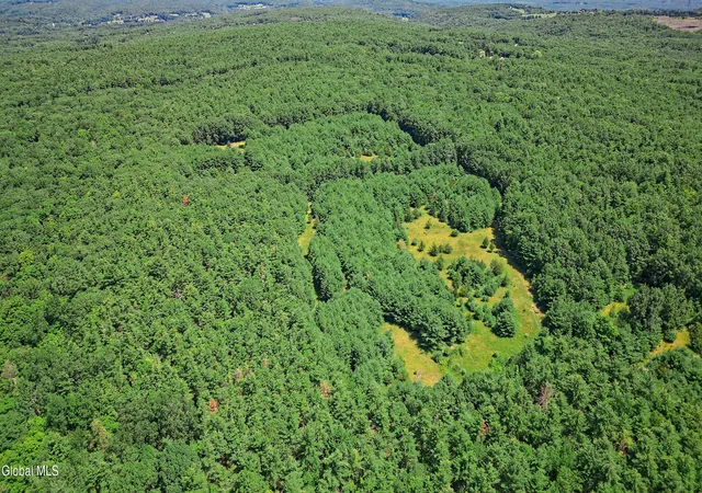 Photo 14 of Sale Pending at Lot 1 Sunset Hl Rd, Hannacroix, NY 12087 | MLS# 202622193 | Listing updated on 2026-08-04
