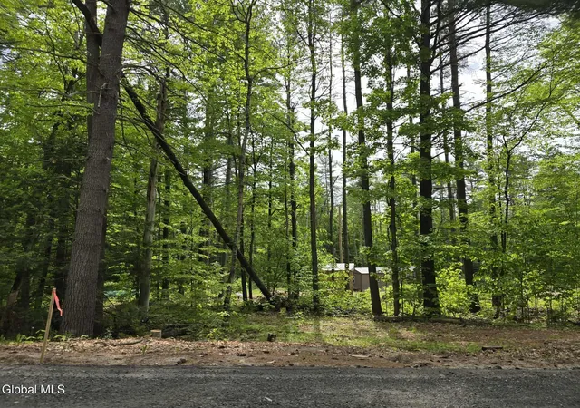 2nd image of 888 Landon Hill Rd, Chestertown, NY 12817 | MLS# 202621920