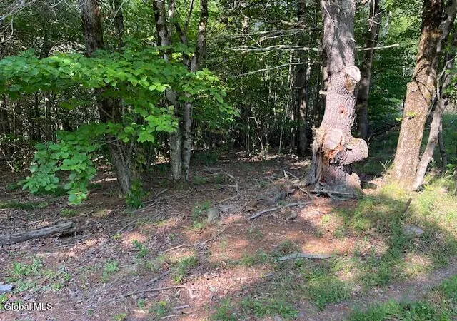 Photo 3 of Sale Pending at L49 Laura Ln, Middleburgh, NY 12122 | MLS# 202621939 | Listing updated on 2026-08-19