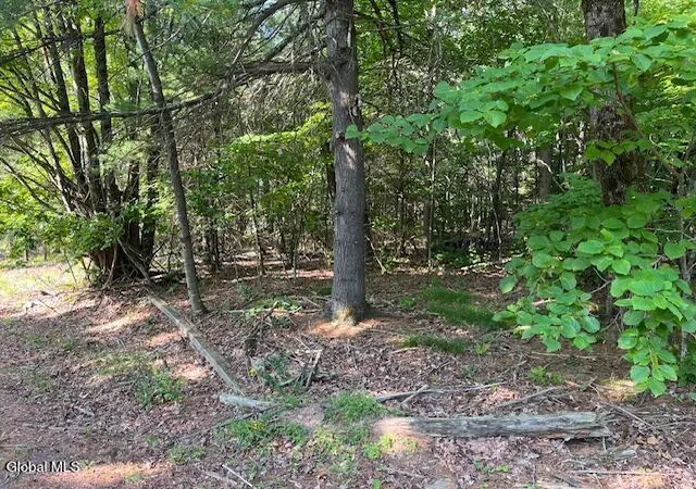 Photo 4 of Sale Pending at L49 Laura Ln, Middleburgh, NY 12122 | MLS# 202621939 | Listing updated on 2026-08-19