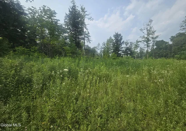 2nd image of L5 Hickory Hill Rd, Fort Plain, NY 13339 | MLS# 202621990