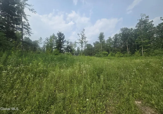 3rd image of L5 Hickory Hill Rd, Fort Plain, NY 13339 | MLS# 202621990