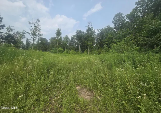 4th image of L5 Hickory Hill Rd, Fort Plain, NY 13339 | MLS# 202621990