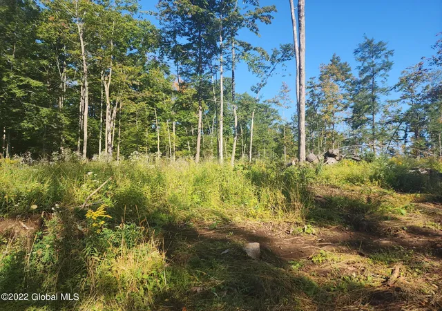 5th image of L5 Hickory Hill Rd, Fort Plain, NY 13339 | MLS# 202621990